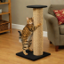 SmartCat Ultimate Cat Scratching Post - The Pioneer