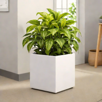 Square Plastic Planter - Mainstays