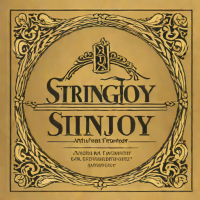 Stringjoy Medium .010-.046