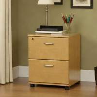 Sauder Beginnings 2-Drawer File Cabinet