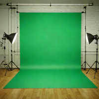 Smith & Pointer 10x12ft Green Screen