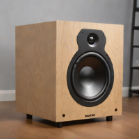 Skulld Audio Terra 10