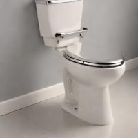 Signature Hardware Polished Chrome Toilet Seat