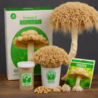 Shroomboom Lion's Mane Mushroom Grow Kit