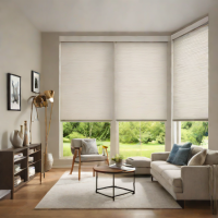 SelectBlinds Motorized