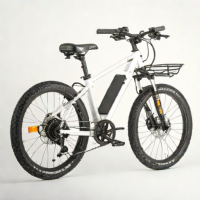SixThreeZero Freedom E-Bike