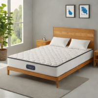 Spocket Foldable Mattress