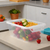 Sterilite 16 Qt. Stack and Pull Box