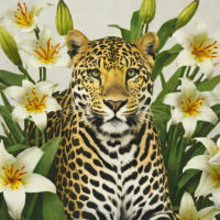 The Leopard Among the Lilies by Steffen Möller