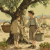 The Olive Tree (L'arbre de Guernica)