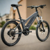 Tern Vektron S10