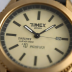 Timex Expedition Parker