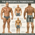 The Renaissance Periodization Full Body Template