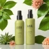 The Hair Edit Detangling Spray