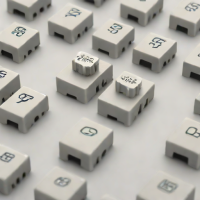 Tactile Switches (Holy Panda)