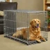 Triumph Heavy Duty 30-Inch Dog Crates