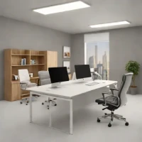 The Virtual Desk Co.