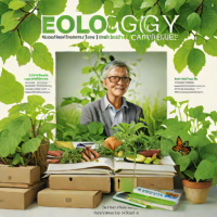 The Ecology of Commerce
