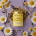 The Republic of Tea Chamomile Lavender
