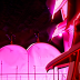 To LOVE-Ru Darkness 2nd OVA