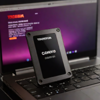 Toshiba Canvio Go