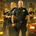 The Shield