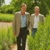 The Constant Gardener