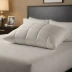 The Company Store LaCrosse LoftAIRE Down Alternative Chamber Pillow
