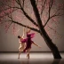 The Judas Tree