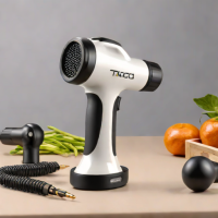 Toloco Massage Gun