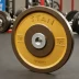 Titan Fitness Elite Color Bumper Plates