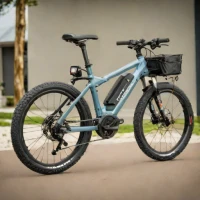 Tern Vektron Q9