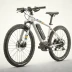Trek Dual Sport+ 2