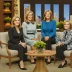 The Meredith Vieira Show