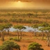 Top End Savanna