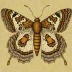 Tapestry moth