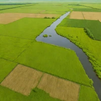 Tobol-Ishim Steppe