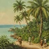 The Malay Archipelago