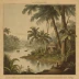 Travels on the Amazon