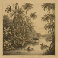 The Naturalist on the River Amazons