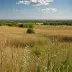 Thomson Memorial Prairie