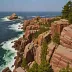 Thunder Hole Area Cliffs