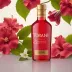 Torani Hibiscus Syrup