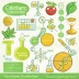 The Organic Chemistry Tutor (YouTube)