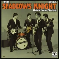 The Shadows of Knight - Back Door Men