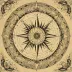 The Compass Flower