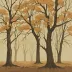 The Trees Witness Everything