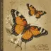 The Butterfly's Burden
