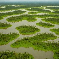 Tasek Bera