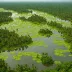 Tasek Chini